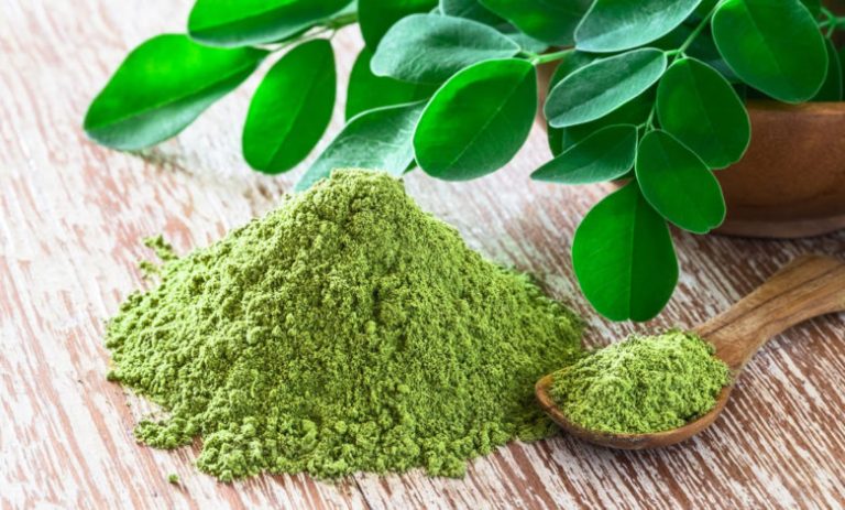 Techniques De Production Du Moringa : Voici Comment Réussir Sa ...