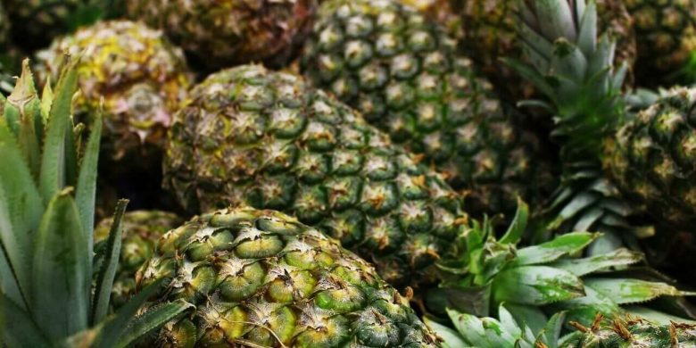 Bénin : Vers un renforcement des performances de la filière ananas ...