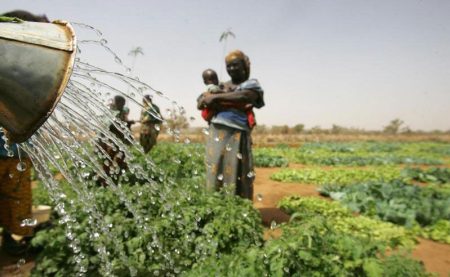 Burkina Faso – Campagne agricole 2024-2025 : 16% de hausse pour la ...